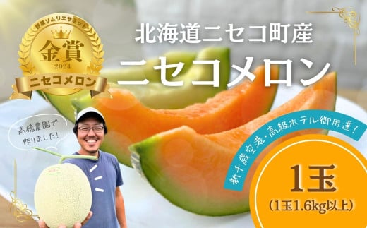 《2025年分受付中》糖度13度以上!市場には出回らない北海道ニセコメロン1玉（1.6kg以上）/高橋農園【37001】 1291786 - 北海道ニセコ町