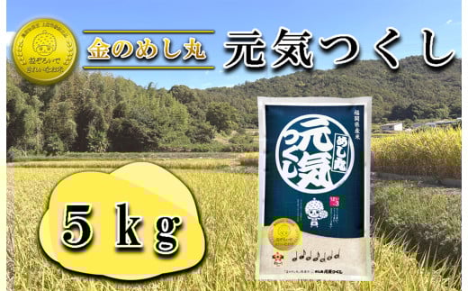 CE-056_令和７年米　金のめし丸元気つくし 5Kg(1袋） 1185224 - 福岡県行橋市