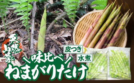 予約受付【天然山菜】「ねまがりたけ味比べ」2点セット 90P3202