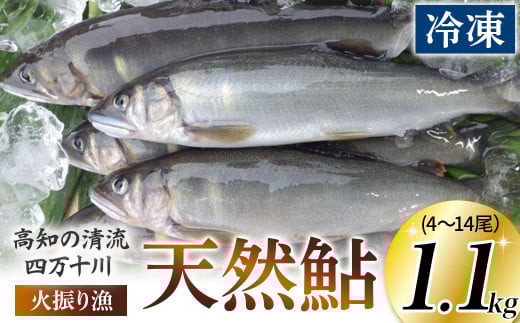 四万十川上流の天然鮎 冷凍 火振り漁鮎(4~14尾)【着日指定不可】Esj-12k あゆ アユ 魚 魚介 川魚 塩焼き 冷凍 347872 - 高知県四万十町