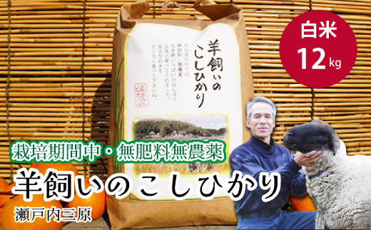 【栽培期間中・無農薬無肥料】瀬戸内三原 羊飼いのこしひかり 白米12kg 002013 776593 - 広島県三原市