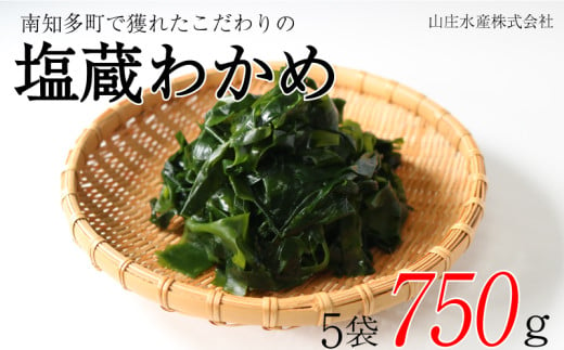 塩蔵わかめ 750g 冷凍 チャック袋入 お味噌汁 和物 ごはん 丼 サラダ 海藻 料理 愛知県 南知多町 師崎 ワカメ わかめ 海藻類 おすすめ 大人気 南知多産わかめ 愛知県産ワカメ