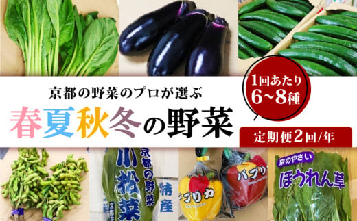 定期便 2回 京都 野菜 6～8種 年2回 旬  京野菜 春 夏 秋 冬 なす とうもろこし トマト ねぎ ごぼう 水菜 鍋 サラダ おかず 京都府 人気 おまかせ 詰め合わせ セット  京印京都南部青果 市場 2017191 - 京都府京都府庁