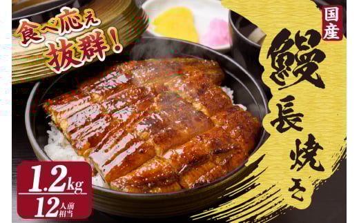 国産特大うなぎ長焼き６尾(約２００ｇ)　合計約１，２００ｇ（1666） 1475193 - 愛知県知立市