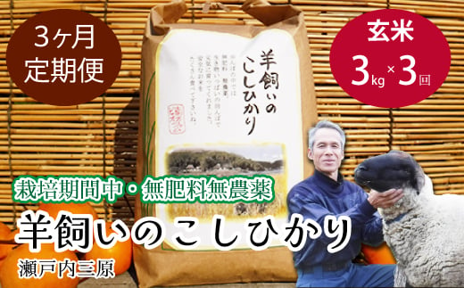 【3か月定期便】《栽培期間中・無肥料無農薬》瀬戸内三原 羊飼いのこしひかり 玄米3kg 米 お米 002030 1992723 - 広島県三原市