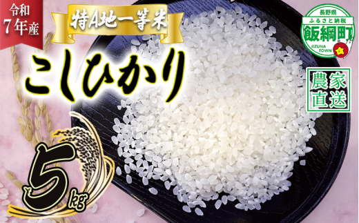 米 東風の里 コシヒカリ 5kg 令和7年産 特A地一等米 東風の会 2025年11月上旬頃から順次発送予定 お米 こしひかり 16000円 沖縄県への配送不可 信州 長野県 飯綱町 [1918] 1996047 - 長野県飯綱町