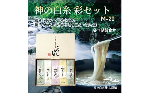 井上製麺 涼味 彩セット M-20(麺5種詰め合わせ)
