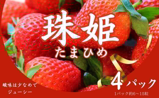 【数量限定】 いちご 苺 珠姫（たまひめ）×4パックめいとく農園 奈良県 奈良市 奈良 なら 12-060