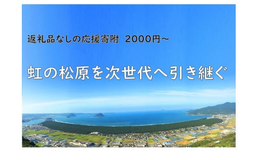 [返礼品なしの寄附:2,000円〜]NPO法人KANNEによる虹の松原の「白砂青松」を未来へ引き継ぐ取り組み