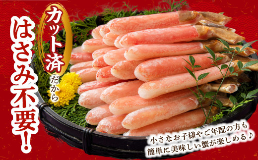 生ずわい蟹 フルポーション 250g (10 ～ 15本) 【7】 かに カニ ずわい蟹 足 ポーション むき身