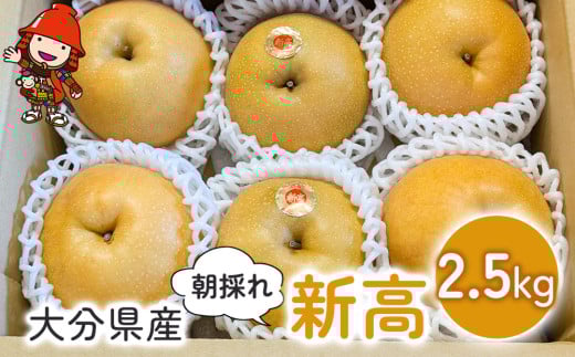 大分県産 新高 約2.5kg (6個～7個) | いわき農園 梨 なし 新鮮 産地直送 数量限定 果物 くだもの フルーツ ギフト 大分県産 九州産 大分県 中津市