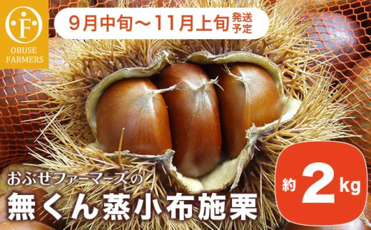  無くん蒸小布施栗 約2kg ［おぶせファーマーズ］ 果物 フルーツ 生栗 くり 長野県産 信州産 令和7年産 【2025年9月中旬〜11月上旬発送】 ［FB-23］ 230398 - 長野県小布施町