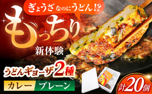 高槻うどんギョーザふるさとギフト 【プレーン＆カレー 20個】 餃子 ぎょうざ ギョーザ うどん 焼きうどん お好み焼き 大阪府高槻市/高槻うどんギョーザの会 [AOAU002]