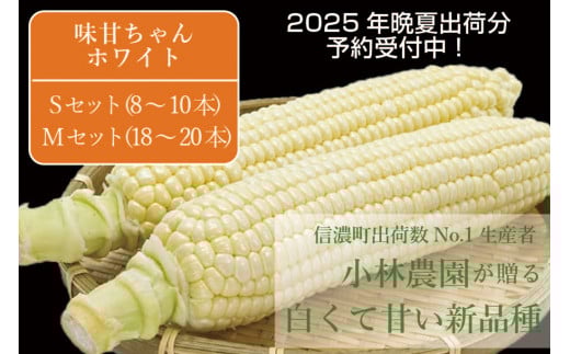2025年夏の予約受付開始！小林農園の白くて甘いとうもろこし『味甘ちゃんホワイト（みかんちゃんほわいと）』4kg（8～10本）/ 9kg（18～20本）9月上旬～9月下旬出荷【長野県信濃町】