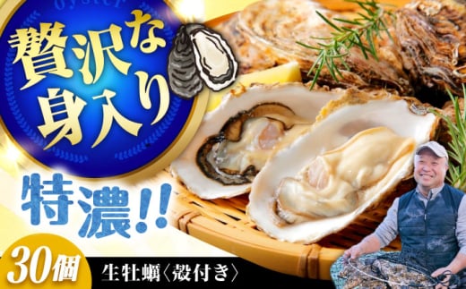 【3月30日（日）着】高品質の牡蠣を産地直送！ 【生牡蠣】【着日指定可能】『てつまるかき』牡蠣 殻付き 30個 加熱用 かき 海鮮 海産物 簡単 広島県産 江田島市/有限会社テツマル海産 [XCO007] 2007038 - 広島県江田島市