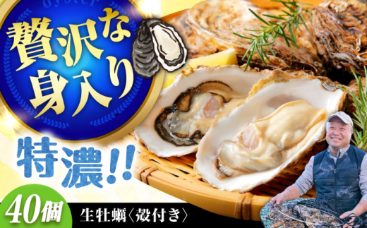 【3月29日（土）着】高品質の牡蠣を産地直送！ 【生牡蠣】【着日指定可能】『てつまるかき』牡蠣 殻付き 40個 加熱用 かき 海鮮 海産物 簡単 広島県産 江田島市/有限会社テツマル海産 [XCO008] 2007048 - 広島県江田島市