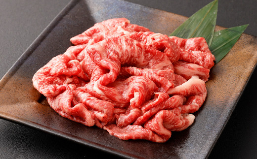 【A4・A5】博多和牛 リッチな切り落とし 約300g×2 計約600g 肉 牛肉 和牛 切り落とし 切り落とし肉 牛丼 国産 福岡県 九州 1994052 - 福岡県遠賀町