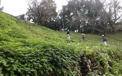 高知県香美市草刈り代行サービス 1日 草刈り 草刈 くさかり 草引き 除草作業 除草 お手入れ 代行 サービス 2000638 - 高知県香美市