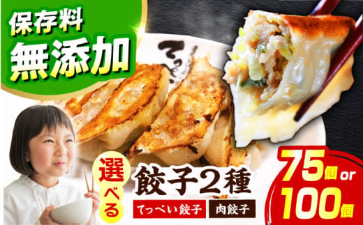 【選べる種類・容量】人気ラーメン店の本気「てっぺい餃子」75個入り(25個×3パック)【保存料無添加】【メディアでも話題:石田てっぺいラーメン店】 餃子 ぎょうざ 惣菜 大容量 業務用 冷凍 国産 大阪府高槻市/無人屋 [AOCX010] 1994649 - 大阪府高槻市