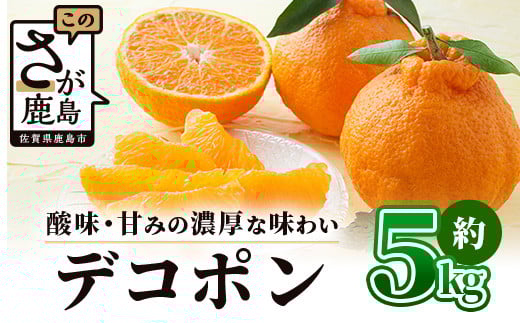 基準クリアの高級柑橘 デコポン 約5kg 不知火 しらぬい でこぽん みかん 蜜柑 ミカン オレンジ 柑橘 フルーツ 果物 贈り物 贈答 プレゼント 高級 ブランド 限定 ギフト ふるさと納税 佐賀県 鹿島市 B-672 961517 - 佐賀県鹿島市