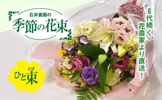 6代続く花農家より直送! 石井農園の「季節の花束」 SMCM001 / ふるさと納税 花 花束 季節 旬 お祝い フラワー ギフト 母の日 誕生日 記念日 千葉県 山武市 1994611 - 千葉県山武市