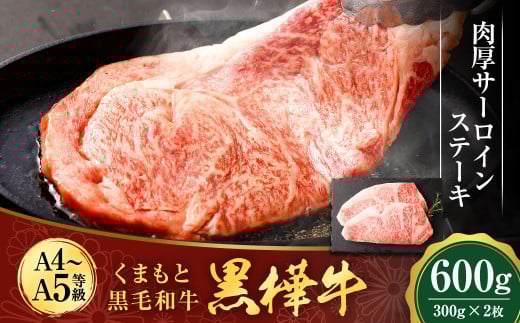 くまもと黒毛和牛 杉本本店 黒樺牛 A4~A5等級 肉厚サーロインステーキ 300g×2 計600g 1156410 - 熊本県水俣市