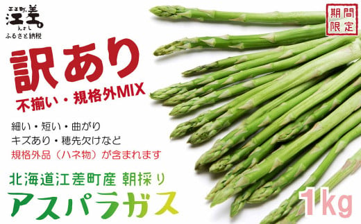 【4月から春芽 順次発送予約】《訳あり》2025年 北海道江差町産 アスパラガス 1kg【サイズ不揃い・規格外MIX】無選別・規格外・ハネ物・B品　朝採り直送　見た目は良くなくても鮮度や味は正規品と変わりません！　グリーンアスパラガス　旬の味覚　ご自宅用 1994566 - 北海道江差町