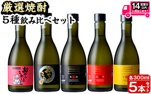 厳選焼酎のみくらべセット(300ml×5本・計1.5L) 焼酎 本格焼酎 飲み比べ 【岩川醸造】 A658