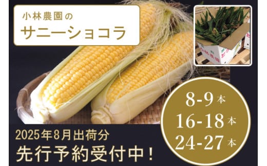 2025年夏の予約受付開始! 小林農園のとうもろこし「サニーショコラ(2Lサイズ)8-9本 / 16-18本 / 24-27本セット」朝採りのとうもろこしを生産者から直送|令和7年7月~8月出荷開始![長野県信濃町]