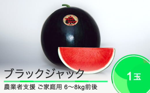 すいか ご家庭用 大玉 ブラックジャック 約6〜8kg前後 1玉 2025年産 令和7年産 山形県産 大石田町産 8月上旬から順次発送 mn-suwbj 1982693 - 山形県大石田町