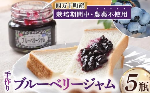 【2024年産／栽培期間中 農薬不使用ブルーベリー使用】手づくりブルーベリージャム（170g×5個）Qdr-92　／ヨーグルト ジャムトースト パン 朝食 贈り物 お取り寄せ 無農薬 四万十 しまんと 高知 こいのぼりの里ブルーベリー農園