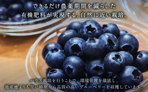 生ブルーベリー 計約900g（約100g×9パック） ｜ブルーベリー 果物 フルーツ 静岡県 菊川市