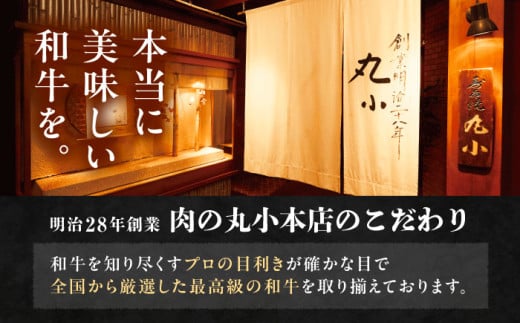 牛肉 ビーフカレー カレーライス アウトドア レトルト 