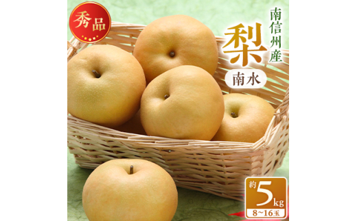 【南信州産】南水　秀品　約5ｋ　8～16玉 | 南水 ナシ 梨 なし 果物 フルーツ 信州 南信州 送料無料 ふるさと納税 長野県 飯田市