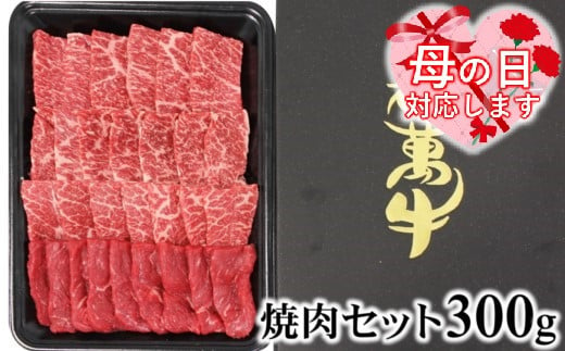 [母の日ギフト対応可]都萬牛 牛肉 黒毛和牛焼肉 300g牛肉 焼肉[1-35]