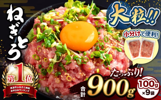 ＼ 新登場！小分け  100g パック ／ さらに使いやすくなりました♪ 清幸丸水産 大人気！ねぎとろ900g（100g×9袋） 1996821 - 千葉県君津市