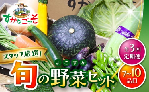 [全3回定期便]よこすか野菜セット すかなボックス [JAよこすか葉山] [ASCB002]