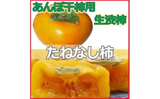 生渋柿たね無 あんぽ柿用T軸枝無約4.5～5kg　約24～30個＜2025年10月中旬～11月上旬ごろ順次発送＞【ART16】 455928 - 和歌山県かつらぎ町