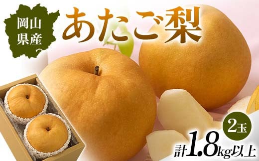 ◆先行受付◆ 岡山県産 あたご梨2玉 2025年発送 あたご梨 果物 岡山県 TY0-0971