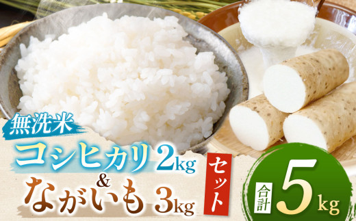 長野県産 コシヒカリ 2kg （無洗米） 長芋 3kg のセット |  コシヒカリ お米 無洗米 ふっくら ご飯 朝ごはん 長芋 ながいも 山芋 やまいも いも 自然薯 大和芋 とろろ とろろごはん とろろそば セット 人気 長野県 塩尻市