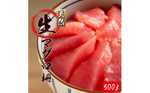 那智勝浦直送！天然生まぐろ 柵 約500g 【入金確認後、3週間以内に発送いたします】【UT101】 1451047 - 和歌山県かつらぎ町