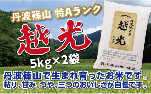 令和６年産　丹波篠山産　特Aランク　越　光　（５kｇ×２袋） 753833 - 兵庫県丹波篠山市 |米