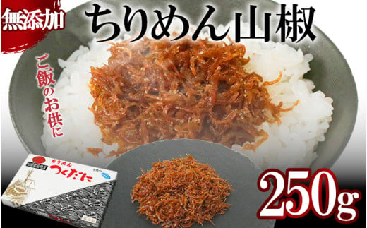 ちりめん 山椒 250g 冷凍 無添加 しらす 佃煮  しらす ごはん 米 おつまみ しらす しらすごはん お茶漬け おにぎり 海鮮 小魚 丼 お弁当 朝食 しらすおにぎり こめ 南知多町産しらす 魚 新鮮しらす おかず 海産物 さかな しらす 海の幸 愛知県産 南知多町産 しらす 人気 おすすめ つくだ煮南知多町 つくだ煮愛知県 愛知県 南知多町