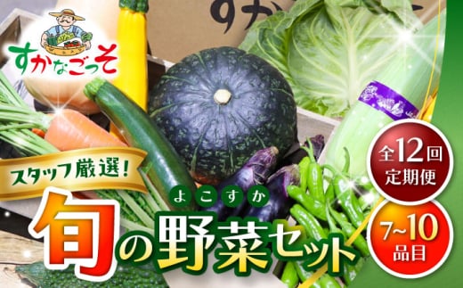 【全12回定期便】よこすか野菜セット すかなボックス 【JAよこすか葉山】 [ASCB004]