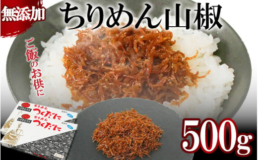 ちりめん 山椒 500g 冷凍 無添加 しらす 佃煮  しらす ごはん 米 おつまみ しらす しらすごはん お茶漬け おにぎり 海鮮 小魚 丼 お弁当 朝食 しらすおにぎり こめ 南知多町産しらす 魚 新鮮しらす おかず 海産物 さかな しらす 海の幸 愛知県産 南知多町産 しらす 人気 おすすめ つくだ煮南知多町 つくだ煮愛知県 愛知県 南知多町