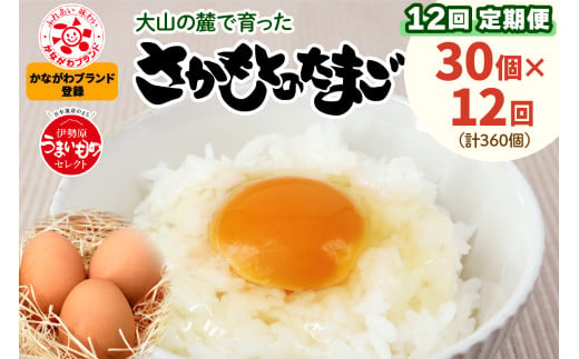 [定期便] 坂本養鶏 大山の麓で育ったさかもとのたまご 合計360個 (30個×12回) [0097] 伊勢原市 赤玉卵 玉子 鶏卵 生卵 国産 TKG タマゴ 新鮮 365733 - 神奈川県伊勢原市