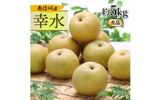 【南信州産】幸水　約5kg　秀品 | 幸水 梨 なし ナシ 果物 くだもの フルーツ 信州 南信州 送料無料 ふるさと納税 長野県 飯田市 1242346 - 長野県飯田市