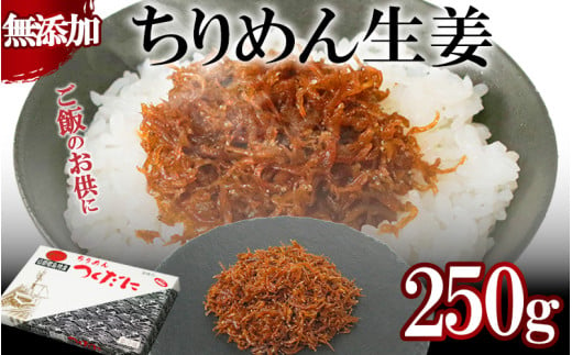 ちりめん 生姜 250g 冷凍 無添加 しらす 佃煮 しらす ごはん 米 おつまみ しらす しらすごはん お茶漬け おにぎり 海鮮 小魚 丼 お弁当 朝食 しらすおにぎり こめ 南知多町産しらす 魚 新鮮しらす おかず 海産物 さかな しらす 海の幸 愛知県産 南知多町産 しらす 人気 おすすめ つくだ煮南知多町 つくだ煮愛知県 愛知県 南知多町