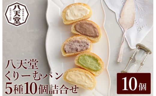 【八天堂】とろけるくりーむパン 10個詰合せ (5種×2個) クリームパン 菓子パン スイーツ カスタード 生クリーム チョコレート 抹茶 フローズン 冷凍 ギフト すいーつ 015014 2002675 - 広島県三原市