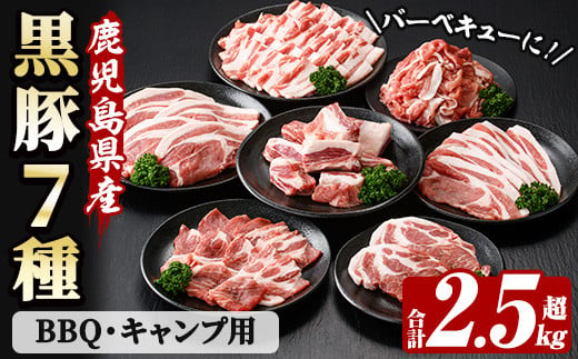 恵味の黒豚 BBQ・キャンプ用セット(7種・合計2.5kg超！)  冷凍 小分け 国産 鹿児島県産 黒豚 BBQ や キャンプ に ピッタリな7種セット！【B-368H】